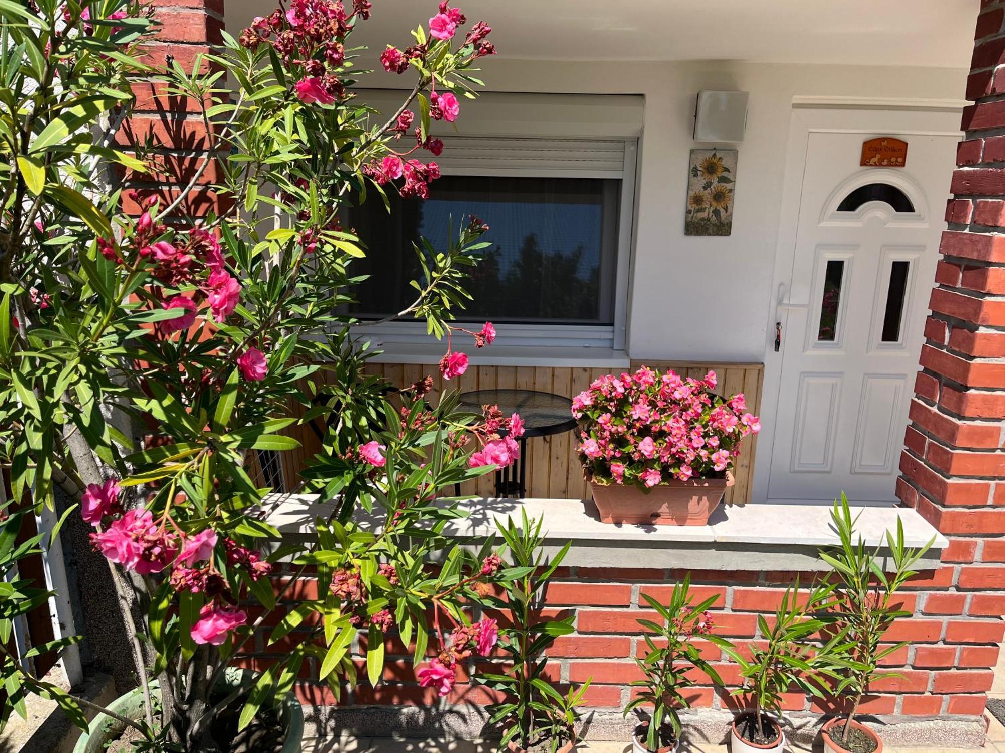 Edes Otthon Villa Balatonfüred Exteriör bild